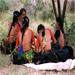 Captivating Culture: 